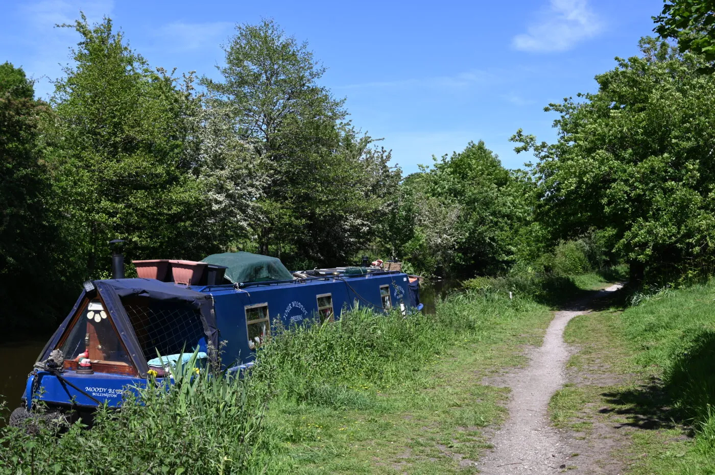 Boats moored along the Macclesfield Canal