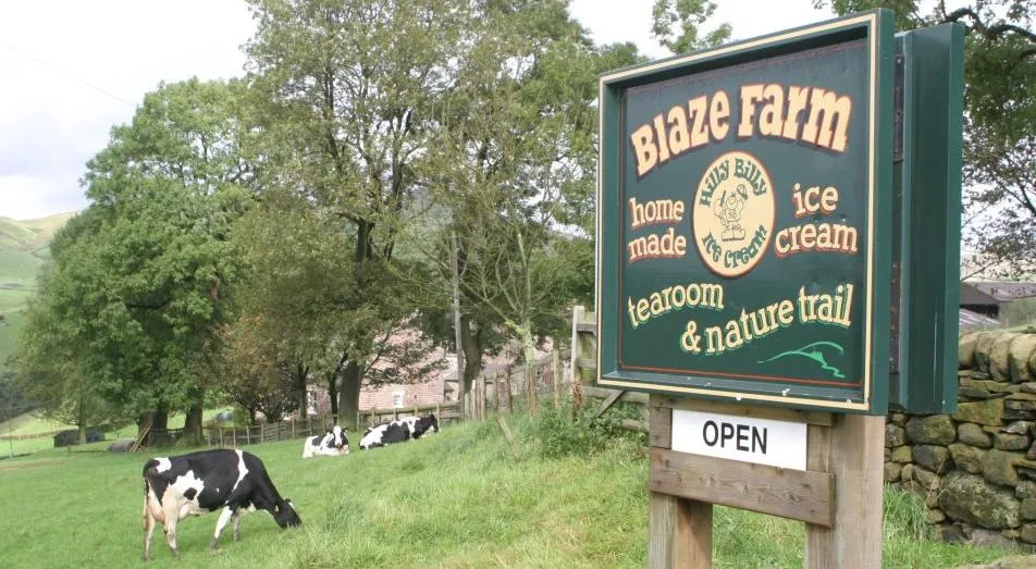 Blaze Farm — official feature image