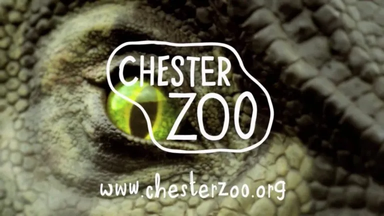 Chester Zoo — official feature image